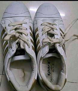 Brand Sparx Canvas Shoes