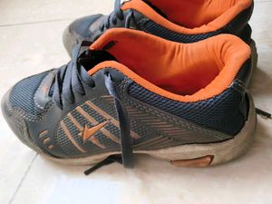 Sport Shoes