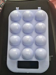 New, Unused, Plastic Egg Container