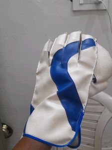 Cricket Wicket Keeping Glove