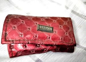 Small Clutches