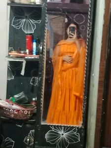 Elegant Ethnic Gown