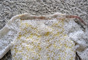 Daisy Embroidered Dress