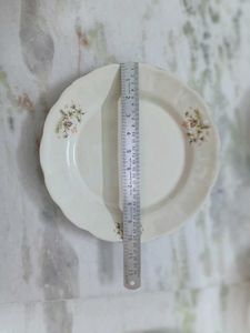 Vintage Dinner Plates (Set of 4)