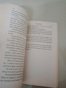 Verity by Colleen Hoover