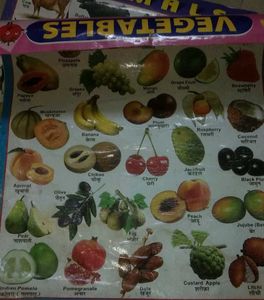 Combo Of 4 Hindi Varnmala Etc, Learning Chart