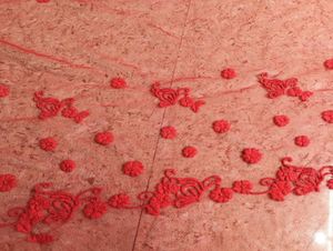 Elegant Embroidered Net Pcs