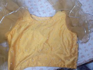 Brand New Lehnga Crop Top