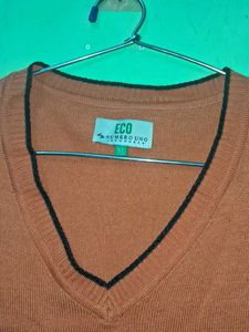 Men&#39;s Sweater 🦺