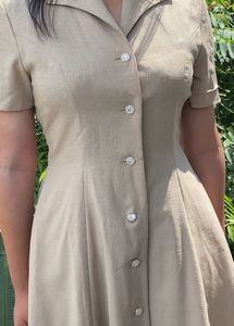 Elegant  Dress