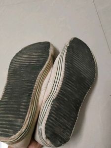 Canvas Mens Shoes