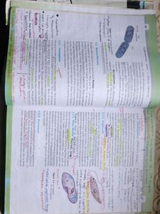 Biology, NCERT, class-11