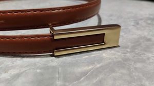 Metal Buckle Brown Belt