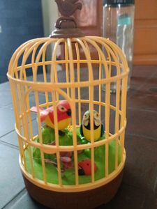 Kid&#39;s Toy New