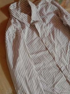 Striped Button-Down Shirt