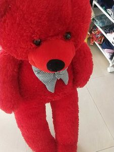 Red Teddy