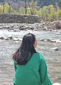 Button Down Green Full Sleeves Cardigan