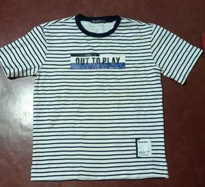 Cotton T Shirt (Pick Any @159)