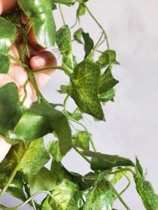 Artificial Green Vine