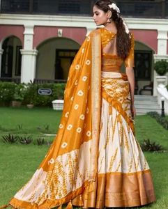 Gorgeous Lehenga Choli