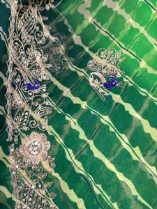 Colorful Embroidered Saree without blouse