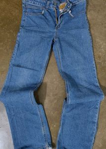 Carhartt Denim