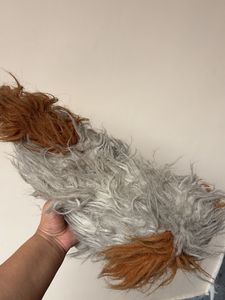 Fluffy Dog Plush Toy