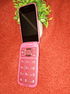 Nokia Flip Phone 2660