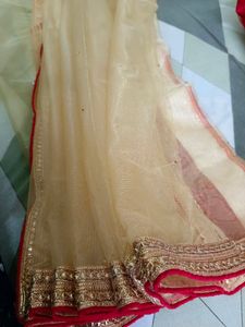 Red &amp; Gold Embroidered Lehenga