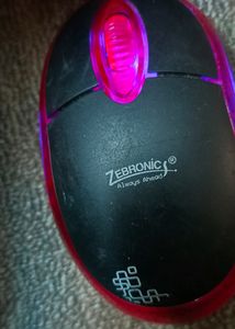 Weird Mouse