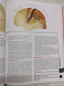Anatomy And Physiology Textbooks Combo