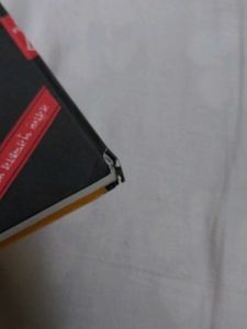 জাগরী (Jagori By Satinath Bhaduri)