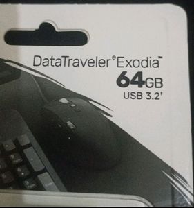 Kingston DataTraveler 64 GB Pen Drive