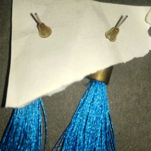 White Stoned Blue Earrings