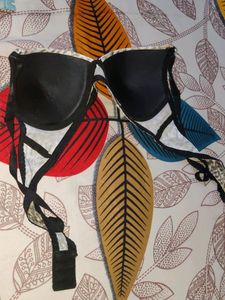 Paded Bra Tiger Print