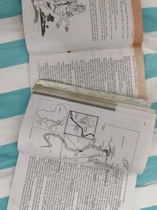 Class 11- English Textbooks