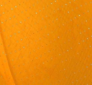 Embellished Bollywood Chiffon Saree