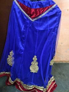 Blue Embellished Lehenga Choli