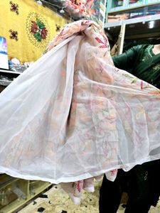 Tepchi Chikankari Saree