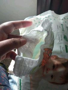 Teddyy Diaper Pant
