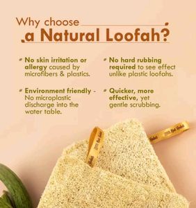 Nat Habit (Natural Sun-dried Loofah Body Sponge)