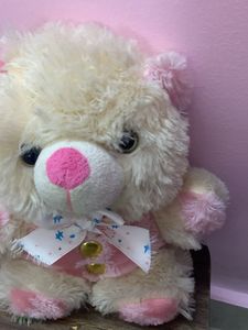 Mini teddy Bear