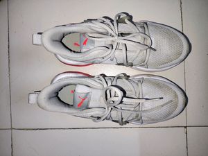 Puma Brand sports Shoes