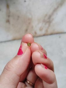 Pure Gold Earring Or Nosepin and Silver Rakhi