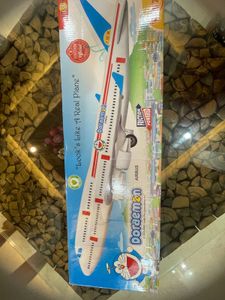 Large Aeroplane