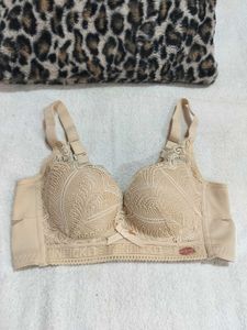 Elegant Beige Lace Bra