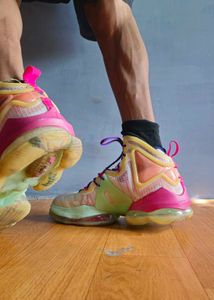Nike Jordan LeBron 19