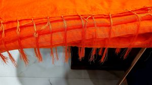 Orange Saree