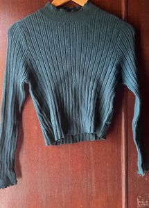 Green Turtle Neck Full Sleeve Fiitted Top