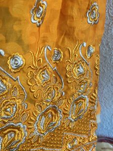 No Flaws- New Collared Kurti Full Sleeves